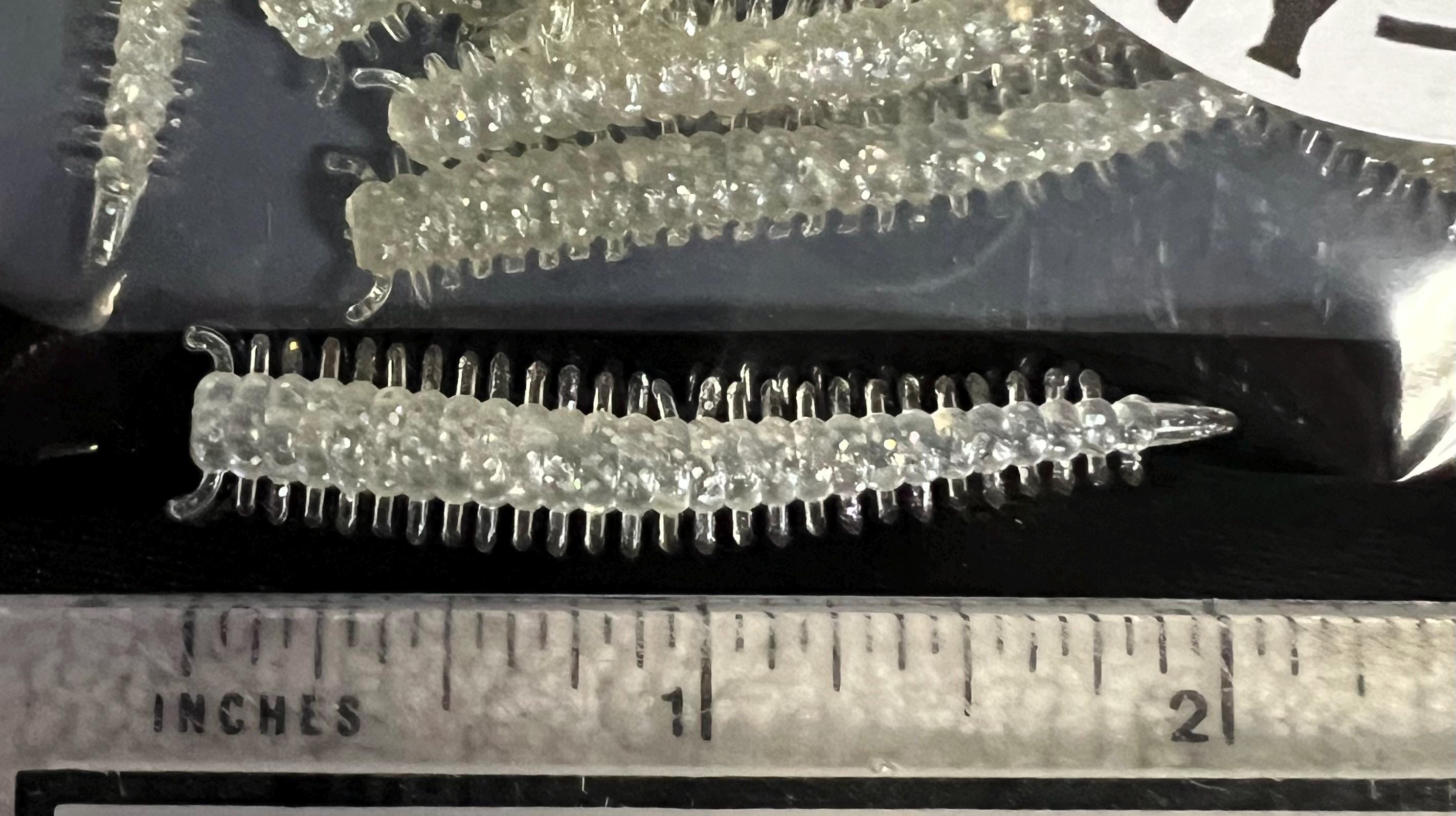 2" Glisten Sandworm Bait - Saltwater Fishing Lure (25/Pack)