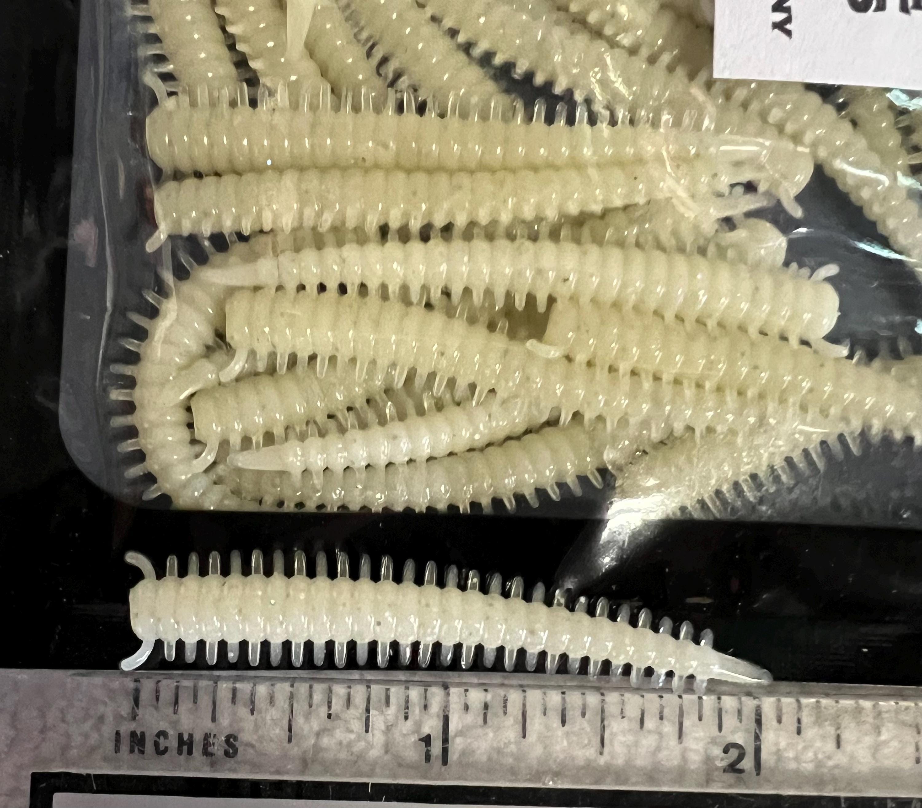 2" White Sandworm Bait - Saltwater Fishing Lure