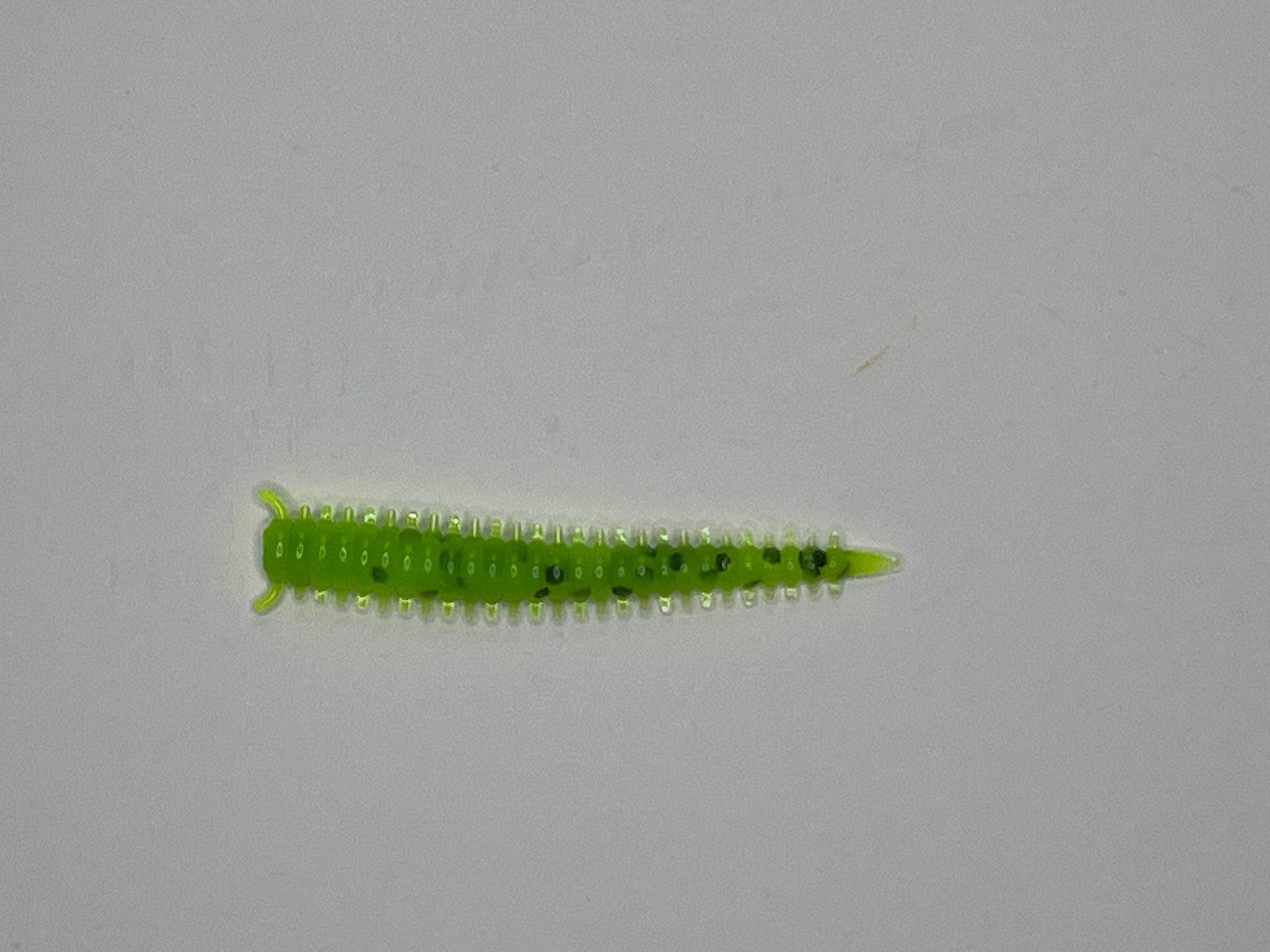 2" Lime Chartreuse Sandworm Bait - Saltwater Fishing Lure (25/Pack)
